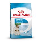 غذای خشک سگ رویال کنین مدل مینی استارتر مادر اند بیبی ROYAL CANIN MINI STARTER 4KG