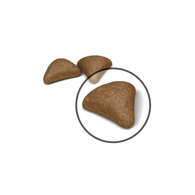 غذای خشک گربه رویال کنین هیربال ROYAL CANIN HAIRBALL CARE 2 KG دانه غذای گربه هیربال کر