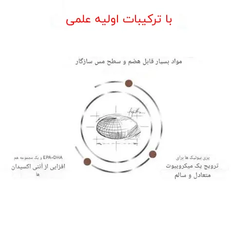 غذای خشک درمانی رویال کنین هپاتیک گربه ROYAL CANIN HEPATIC S/O 2 KG دانه غذای رویال کنین هپاتیک گربه