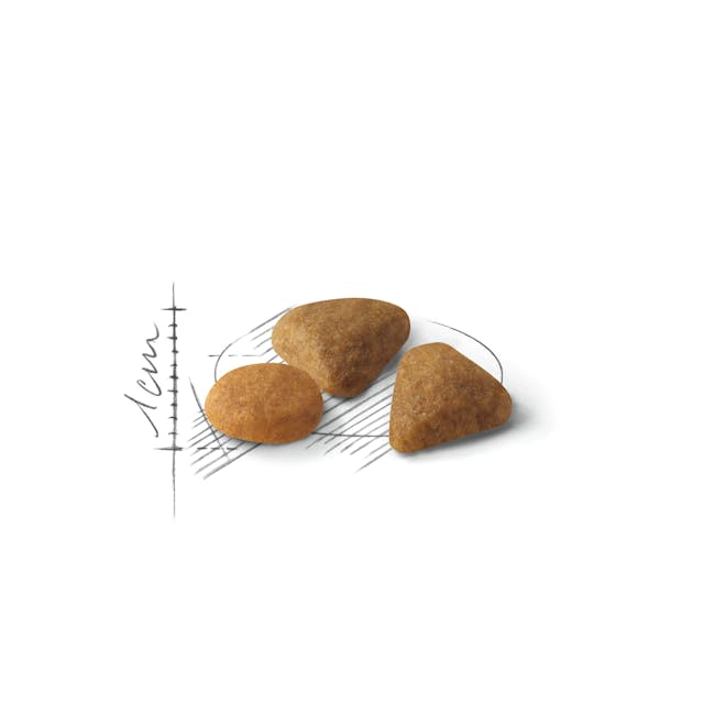 غذای گربه رویال کنین مدل ساور اکسیجنت ROYAL CANIN SAVOUR EXIGENT 2 KG دانه غذای گربه رویال کنین ساور اگزیجنت