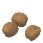 غذای خشک توله سگ رویال کنین جاینت جونیور ROYAL CANIN GAINT JUNIOR 15KG - Image 2