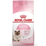 غذای خشک بچه گربه رویال کنین مادراندبیبی ROYAL CANIN  MOTHER AND BABYCAT 10KG