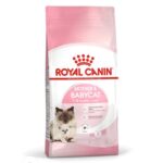 غذای خشک بچه گربه رویال کنین مادراندبیبی ROYAL CANIN  MOTHER AND BABYCAT 10KG