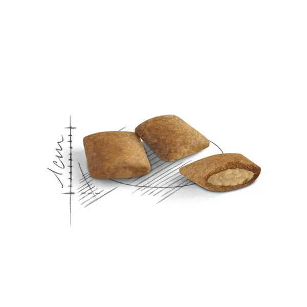 دانه رویال کنین ایجینگ