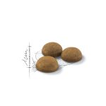 غذای خشک گربه رویال کنین مدل ایندور لانگ هیرROYAL CANIN INDOOR LONG HAIR 2 KG - Image 2