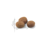غذای خشک گربه رویال کنین استرلایزد +7 ROYAL CANIN STERILISED 1/5KG - Image 2