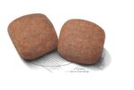غذای خشک سگ رویال کنین جاینت ادالت ROYAL CANIN GIANT ADULT 15KG - Image 2