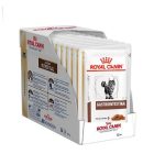 غذای پوچ درمانی گربه گاسترواینتستینال رویال کنین ROYAL CANIN GASTROINTESTINAL 85*12 G