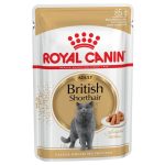 غذای پوچ گربه رویال کنین مدل بریتیش گروی ROYAL CANIN BRITISH SHORTHAIR GARVY 85  G