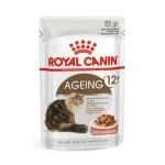 غذای پوچ گربه مسن رویال کنین مدل ایجینگ+12 گروی ROYAL CANIN AGEING + 12 GARVY 85 G