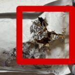 غذای درمانی سگ رویال کنین مدل گاسترواینتستینال ROYAL CANIN GASTROINTESTINAL 15KG(مخدوش) - تصویر 2