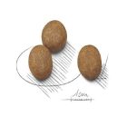 غذای خشک سگ رویال کنین مدل ماکسی پاپی ROYAL CANIN MAXI PUPPY 4 KG - Image 2