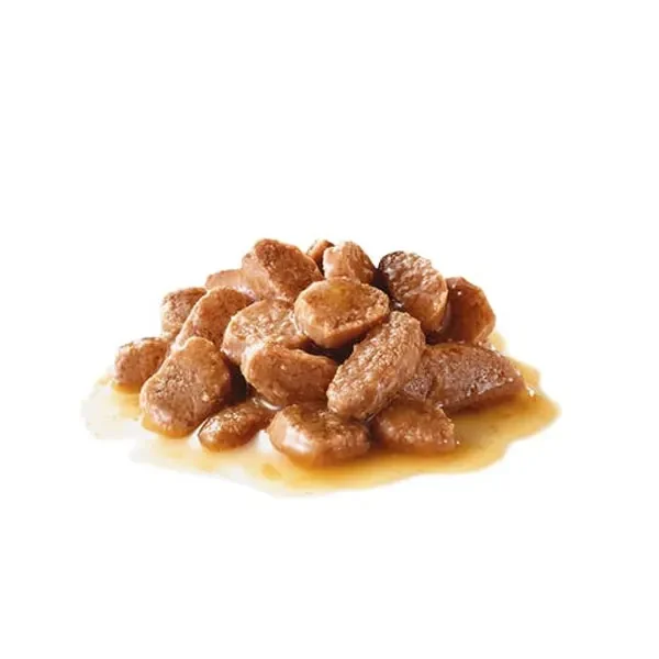 غذای پوچ سگ رویال کنین مدل مینی پاپی ROYAL CANIN MINI PUPPY 85 G