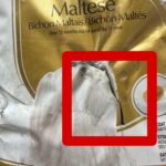 غذای خشک سگ رویال کنین مدل مالتیز ROYAL CANIN Maltese ADULT 1/5 KG(مخدوش) - تصویر 2