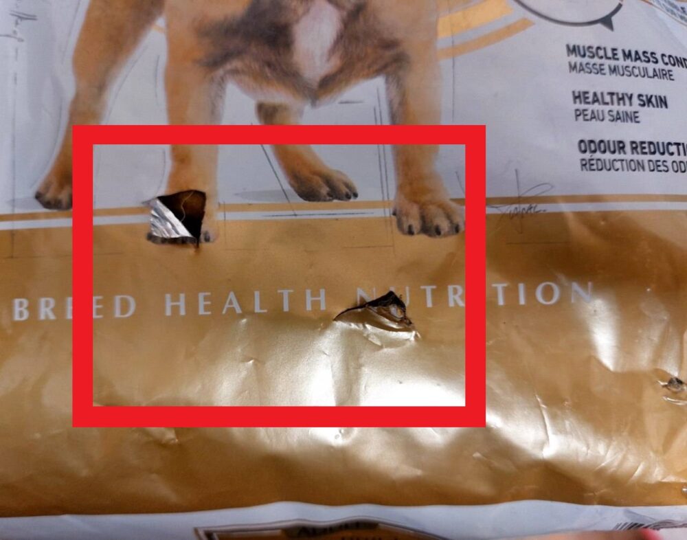 غذای خشک سگ رویال کنین مدل فرنچ بولداگ ROYAL CANIN FRENCH BULDOG ADULT 3KG(مخدوش) - Image 2