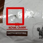 غذای خشک درمانی گربه گاسترواینستنتینالROYAL CANIN GASTROINTESTINAL S/O 2 KG(مخدوش) - تصویر 2