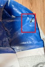 غذای سگ رویال کنین مدل ماکسی ادلت ROYAL CANIN MAXI Adult 15 KG (مخدوش) - Image 2