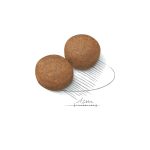 غذای سگ رویال کنین مدل مکسی ادالت ROYAL CANIN MAXI ADULT 4 KG - Image 2