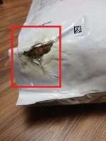 غذای خشک گربه رویال کنین مدل فیت ROYAL CANIN Regular FIT 32 10 KG (مخدوش) - Image 2