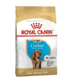 غذای خشک توله سگ نژاد کوکر رویال کنین ROYAL CANIN COCKER PUPPY 3KG