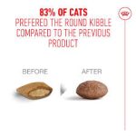 غذای خشک گربه مسن بالای 11 سال رویال کنین ایجینگ ROYAL CANIN AGEING +11 - 2KG - Image 3