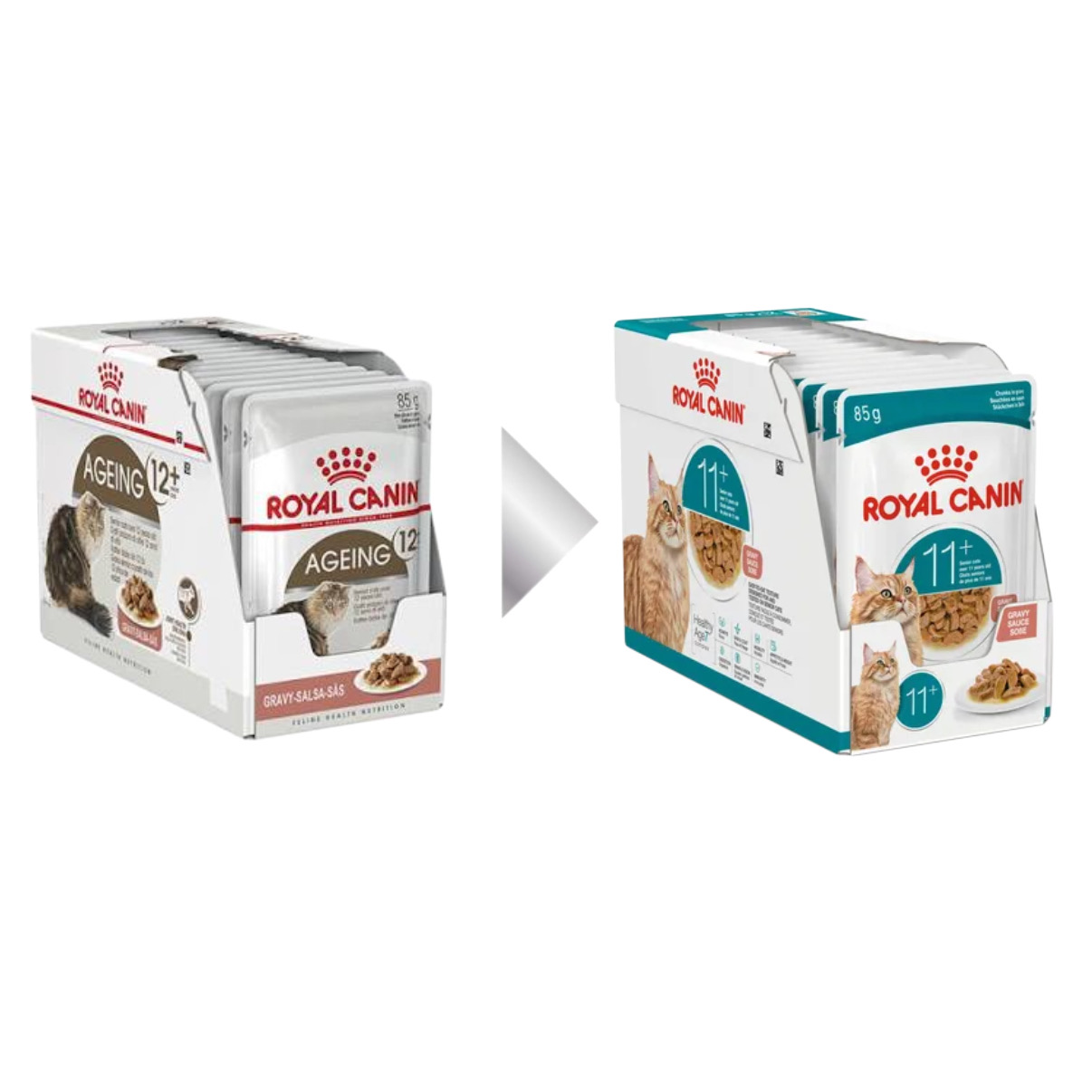 باکس پوچ +11 غذای پوچ گربه رویال کنین ایجینگ+11 گروی ROYAL CANIN AGEING GARVY 12 * 85G - Image 1