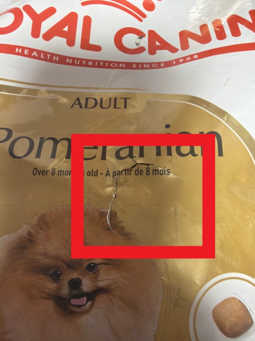 غذای خشک سگ رویال کنین پامرانین ادالت ROYAL CANIN POMERANIAN ADULT 1/5KG(مخدوش) - Image 2