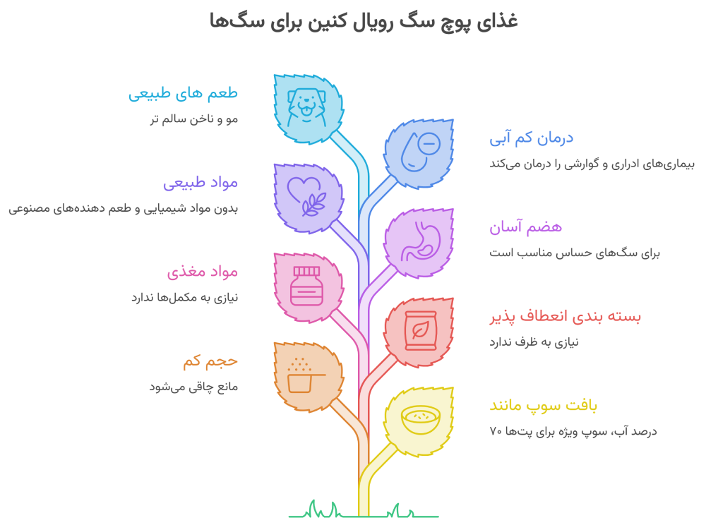 ویژگی و مزایای غذای پوچ سگ