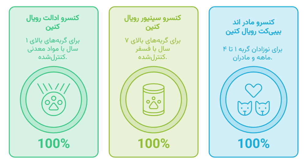 راهنمای انتخاب بهترین کنسرو گربه برای سنین مختلف راهنمای انتخاب بهترین کنسرو گربه برای سنین مختلف