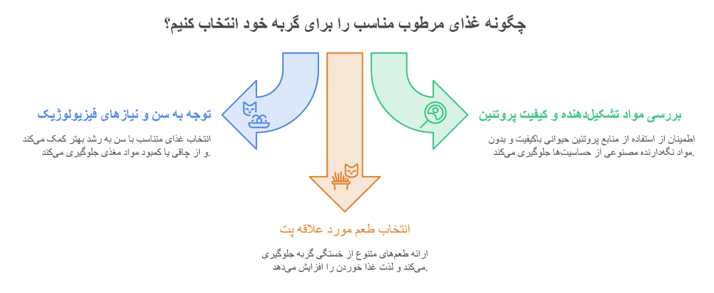 پوچ گربه چیست؟ راهنمای کامل خرید، مزایا و نحوه مصرف پوچ گربه چیست؟ راهنمای کامل خرید، مزایا و نحوه مصرف