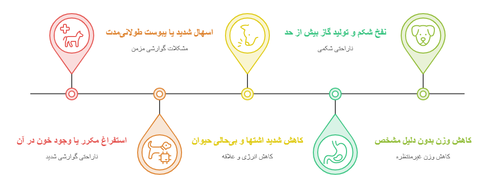 زمانیکه سگ مشکل گوارشی دارد چه غذای خشک درمانی مناسبه؟
