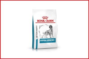 سگ با آلرژی پوستی چه غذایی بخورد؟ سگ با آلرژی پوستی چه غذایی بخورد؟