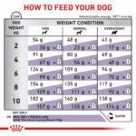 غذای خشک سگ رویال کنین اسمال داگ ادالت ROYAL CANIN SMALL DOGS ADULT 4KG - تصویر 2