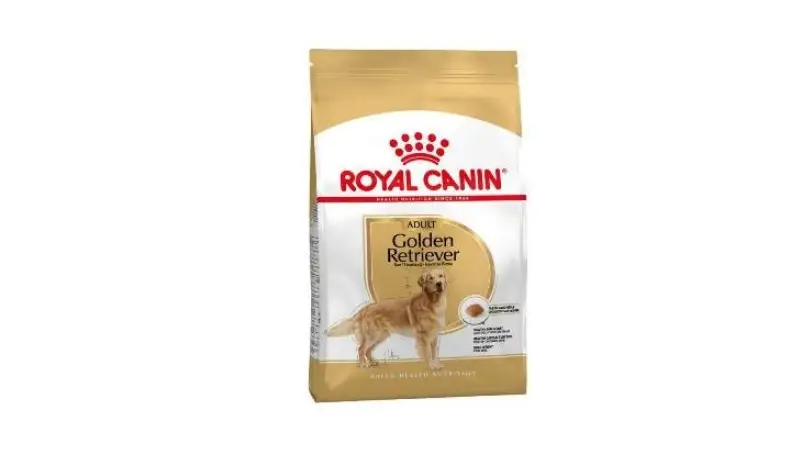 تمام مواردی که در مورد سگ گلدن رتریو باید بدانید غذای خشک سگ رویال کنین مدل Golden Retriver Adult