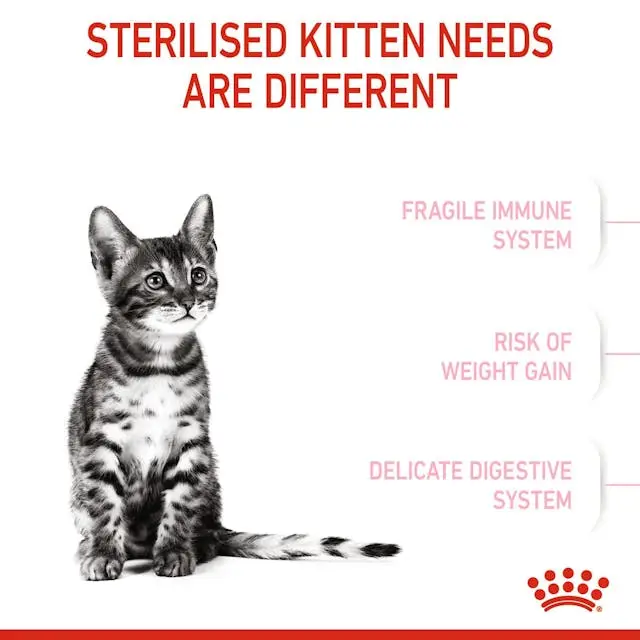 غذای خشک بچه گربه رویال کنین کیتن استرلایزد ROYAL CANIN KITTEN STERILISED 2KG - Image 4