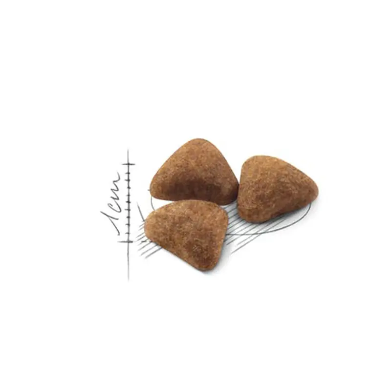 غذای خشک گربه رویال کنین ایندور ROYAL CANIN INDOOR 2KG - Image 2