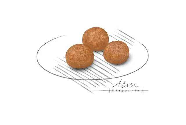 غذای خشک سگ رویال کنین ایکس اسمال ادالت ROYAL CANIN XSMALL ADULT 1/5KG - Image 2