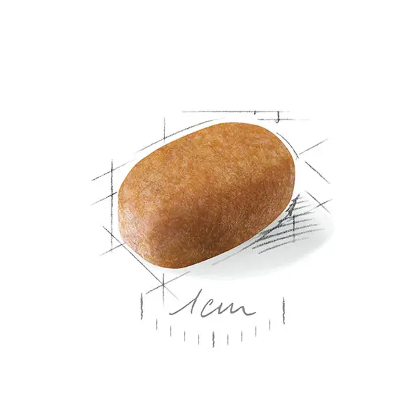 غذای خشک سگ رویال کنین مالتیز ادالت ROYAL CANIN MALTESE ADULT 1/5 KG - Image 2