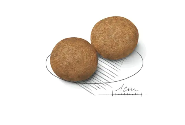 غذای خشک سگ رویال کنین مدیوم ادالت ROYAL CANIN MEDIUM ADULT 15KG - Image 2