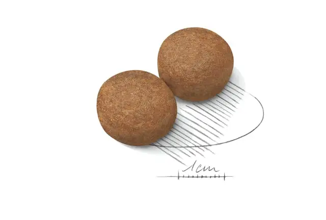 غذای خشک سگ رویال کنین ماکسی ادالت ROYAL CANIN MAXI ADULT 15KG - Image 2