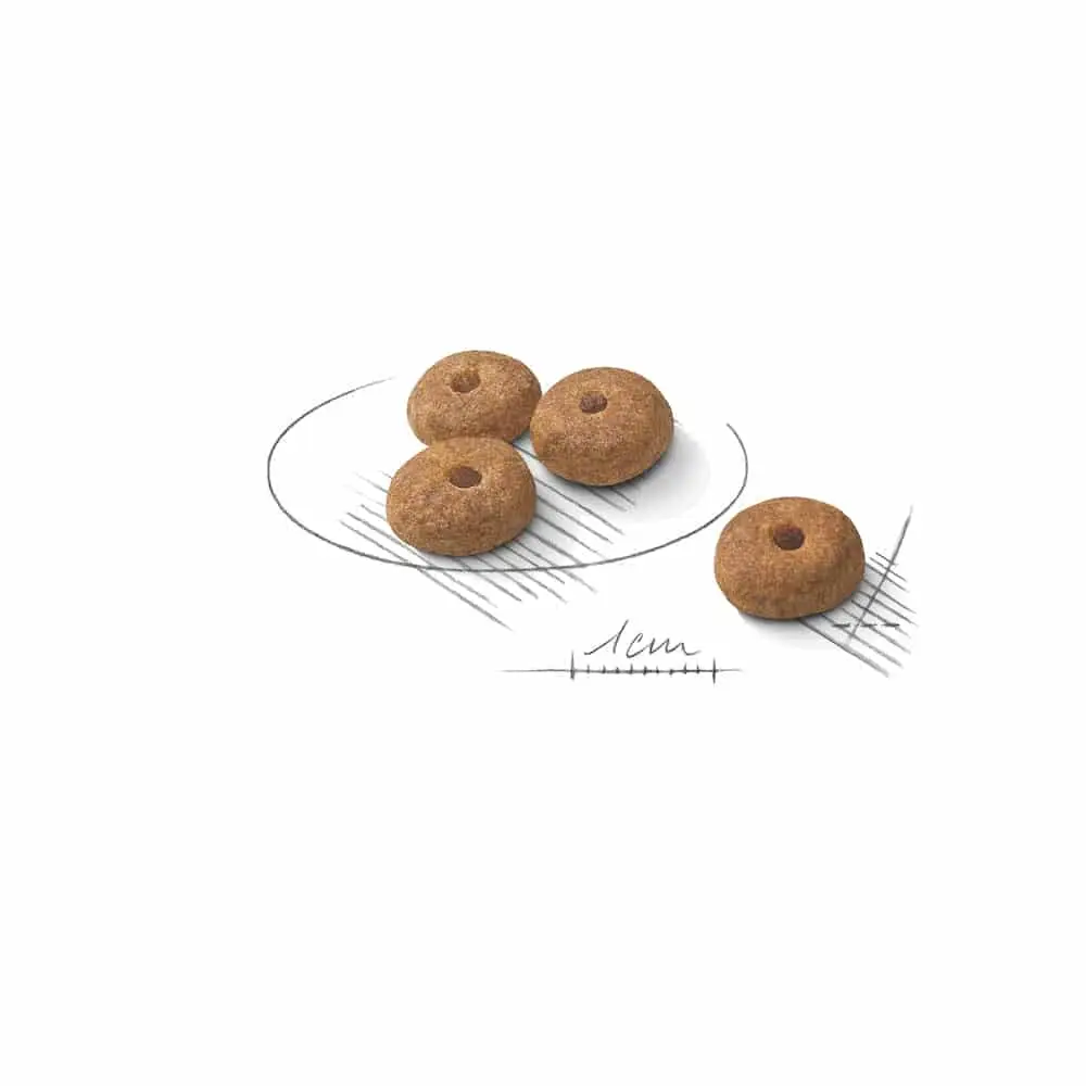 غذای خشک سگ رویال کنین مینی استرلایزد ROYAL CANIN MINI STERILISED 3KG - Image 2