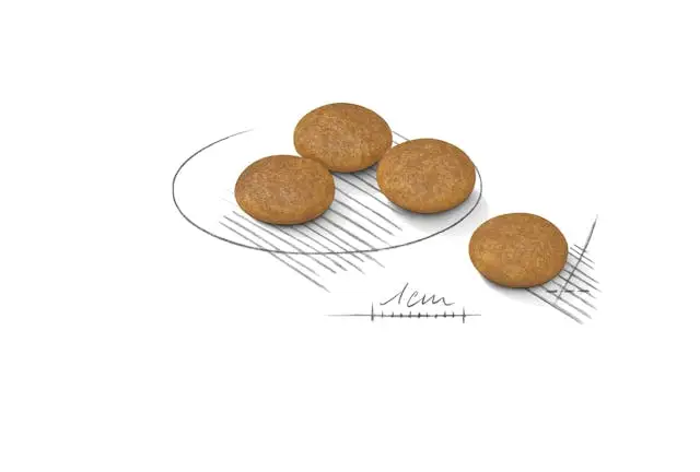 غذای خشک سگ رویال کنین مینی درماکامفورت ROYAL CANIN MINI DERMACOMFORT 3KG - Image 2
