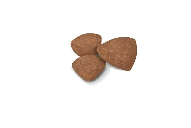 غذای خشک توله سگ رویال کنین مینی پاپی ROYAL CANIN MINI PUPPY 2KG - Image 2