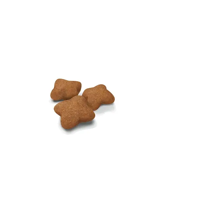 غذای خشک بچه گربه رویال کنین کیتن استرلایزد ROYAL CANIN KITTEN STERILISED 2KG - Image 2
