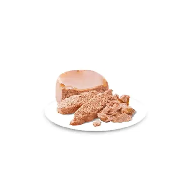 کنسرو توله سگ رویال کنین استارتر ROYAL CANIN STARTER MOUSSE 195G - Image 2