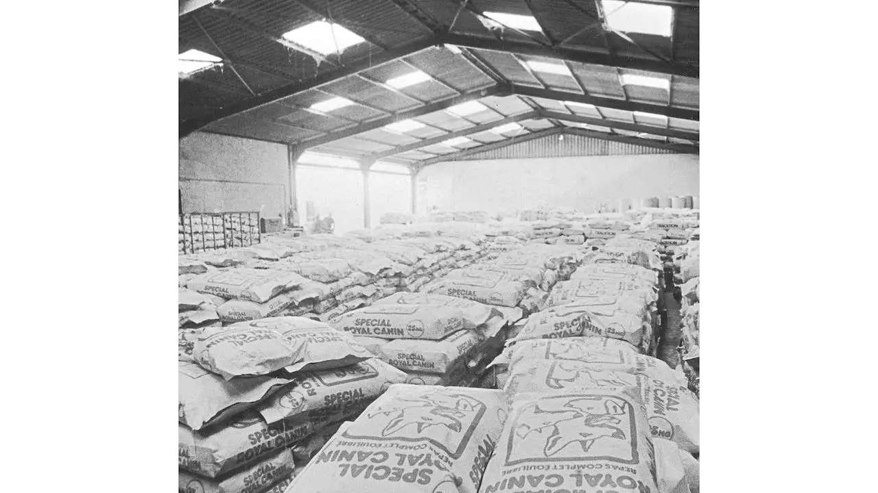تاریخچه رویال کنین تاریخچه دهه 1970