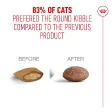 غذای خشک گربه رویال کنین ایجینگ11+ ROYAL CANIN AGEING 2KG - Image 3