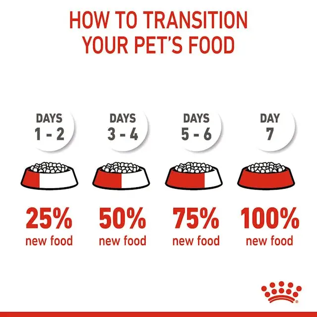 غذای خشک سگ رویال کنین کاوالیر کینگ چارلز ادالت ROYAL CANIN CAVALIER KING CHARLES ADULT 1/5KG - Image 3
