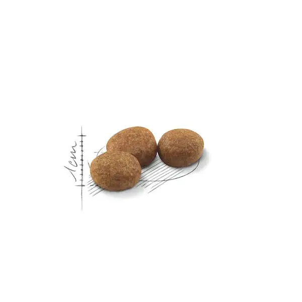 غذای خشک گربه رویال کنین استرلایزد ROYAL CANIN STERILISED 10KG - Image 2