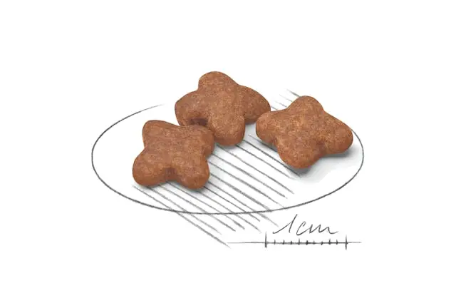 غذای خشک سگ رویال کنین مینی ادالت+8 ROYAL CANIN MINI ADULT+8 - 2KG - Image 2